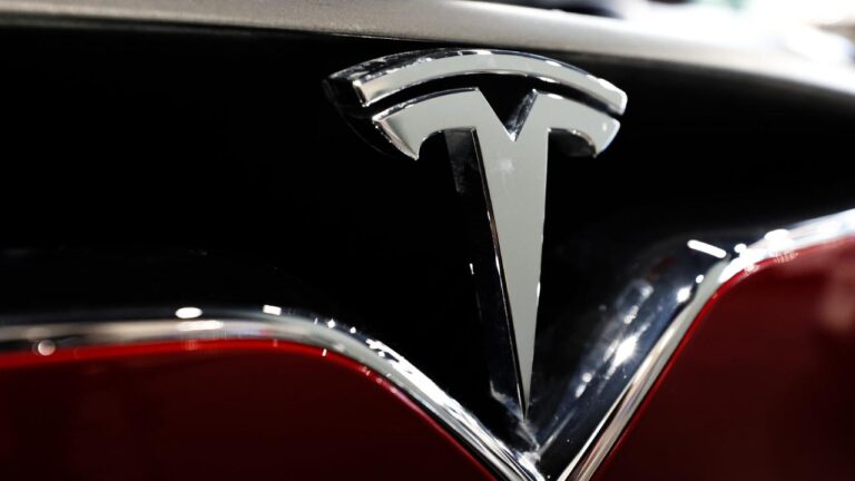 tesla-fsd