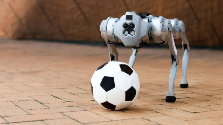 dribblebot