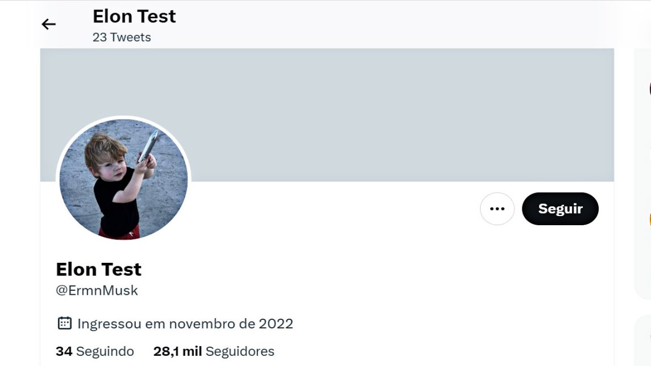 Elon Test: Unraveling Musk’s secret Twitter