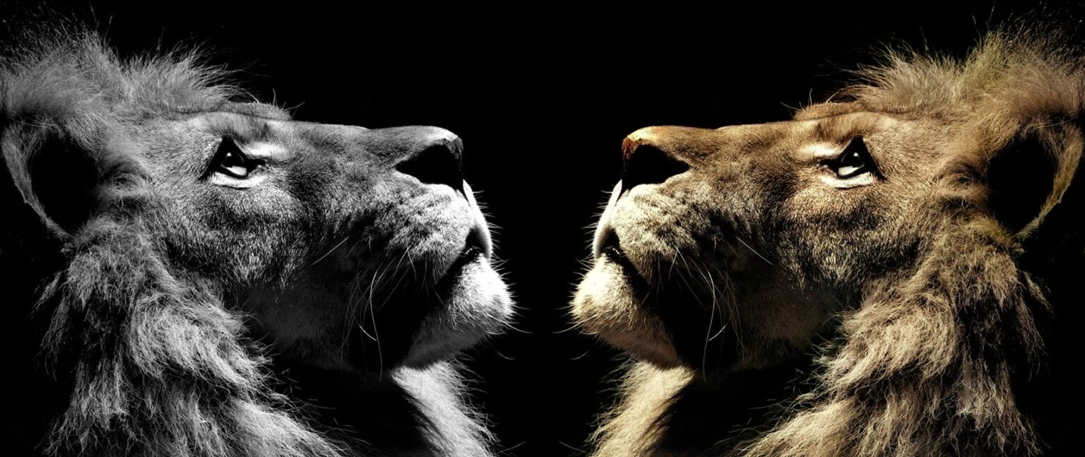 How to colorize black and white photos? - ShiftDelete.Net Global