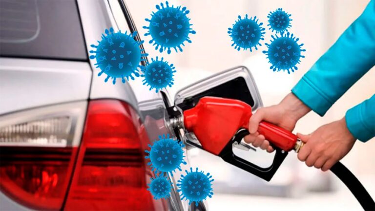 Fuel-consuming bacteria