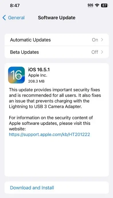 iOS 16.5.1 iPadOS 16.5.1
