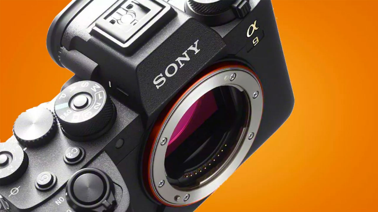 Sony to introduce four mirrorless cameras