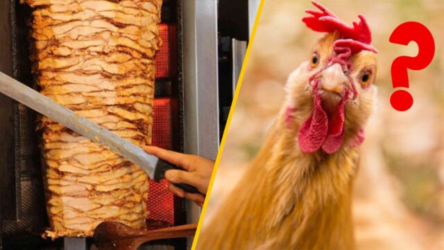 The Rise of Artificial Chicken Meat: Is It the Future of Food?