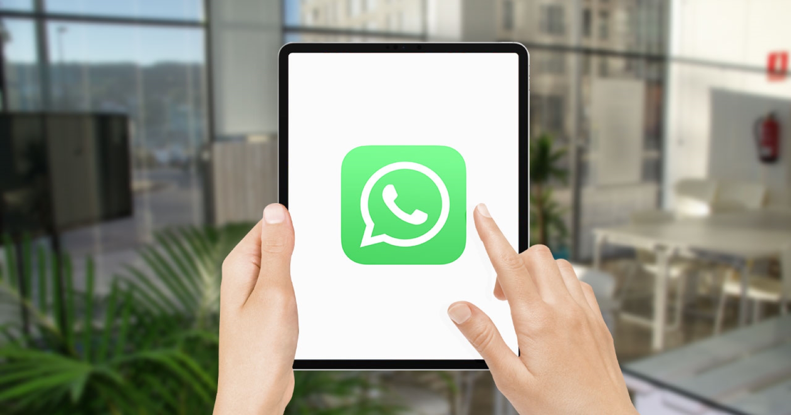 WhatsApp native app finally coming to iPad