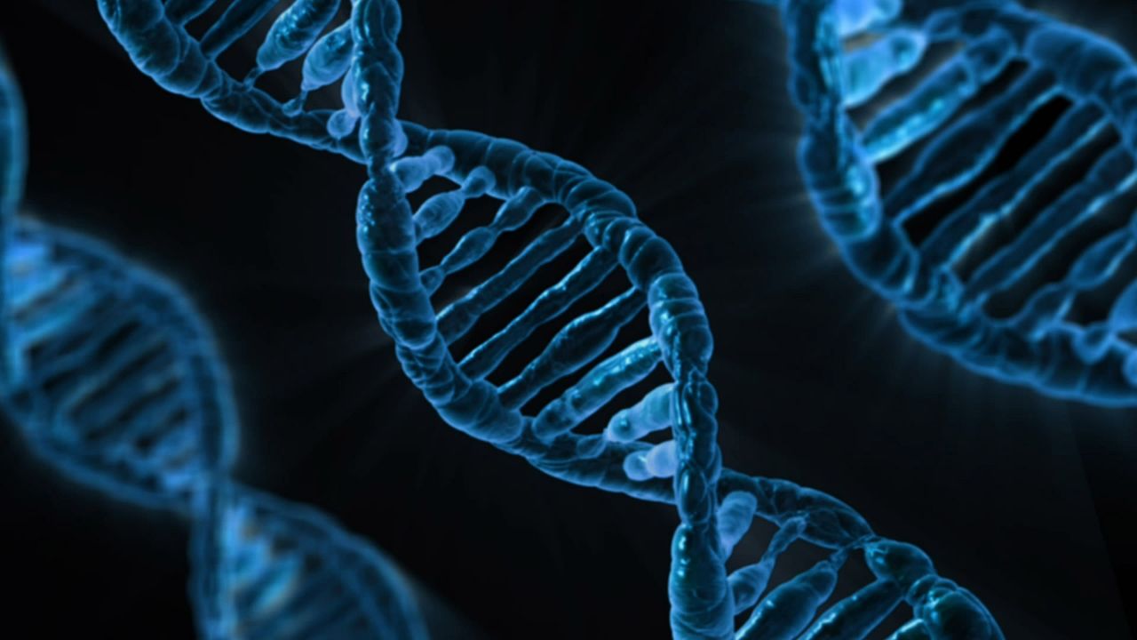 Scientists are designing an artificial DNA model!