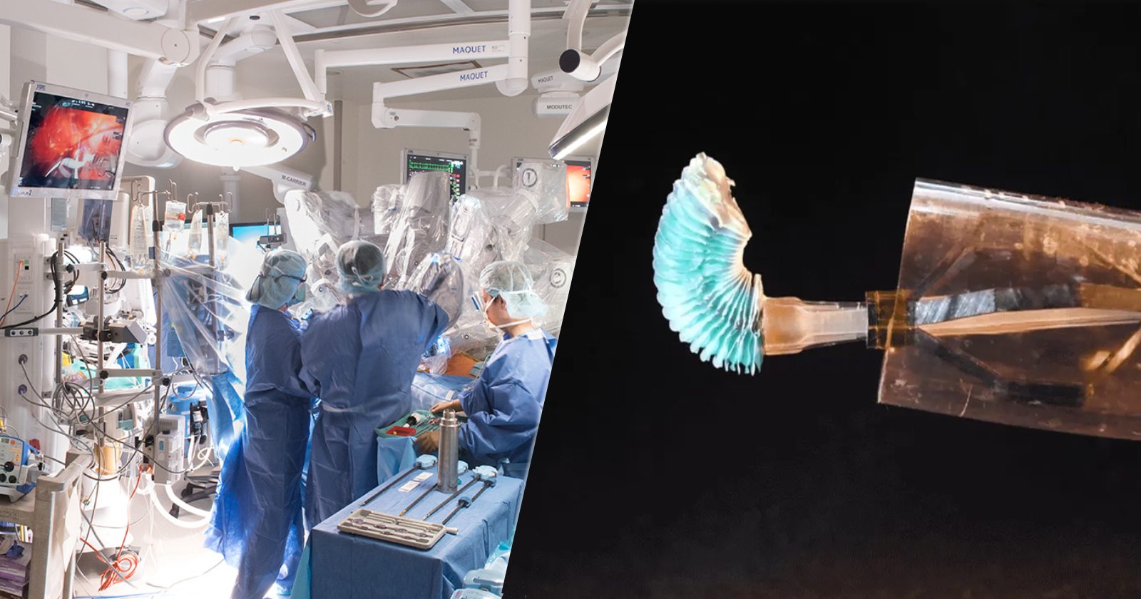 robotic heart surgery, robotic surgery, robotic catheter