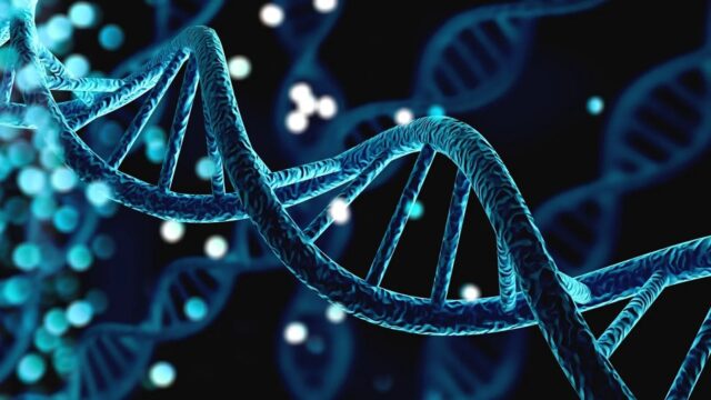 A new discovery in the world of genetics: Artificial DNA!