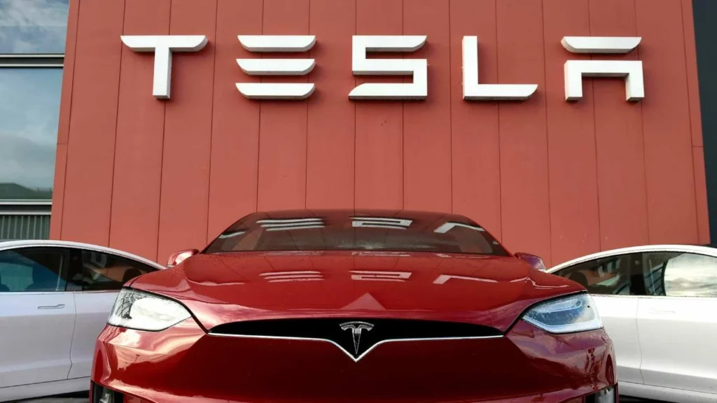 Tesla Indian Market