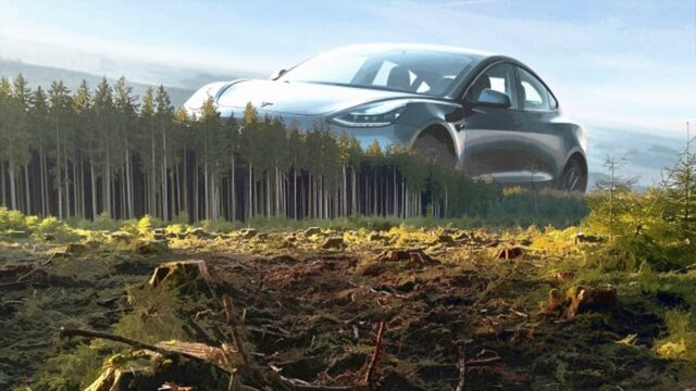 Tesla cut down 500,000 trees for Germany factory