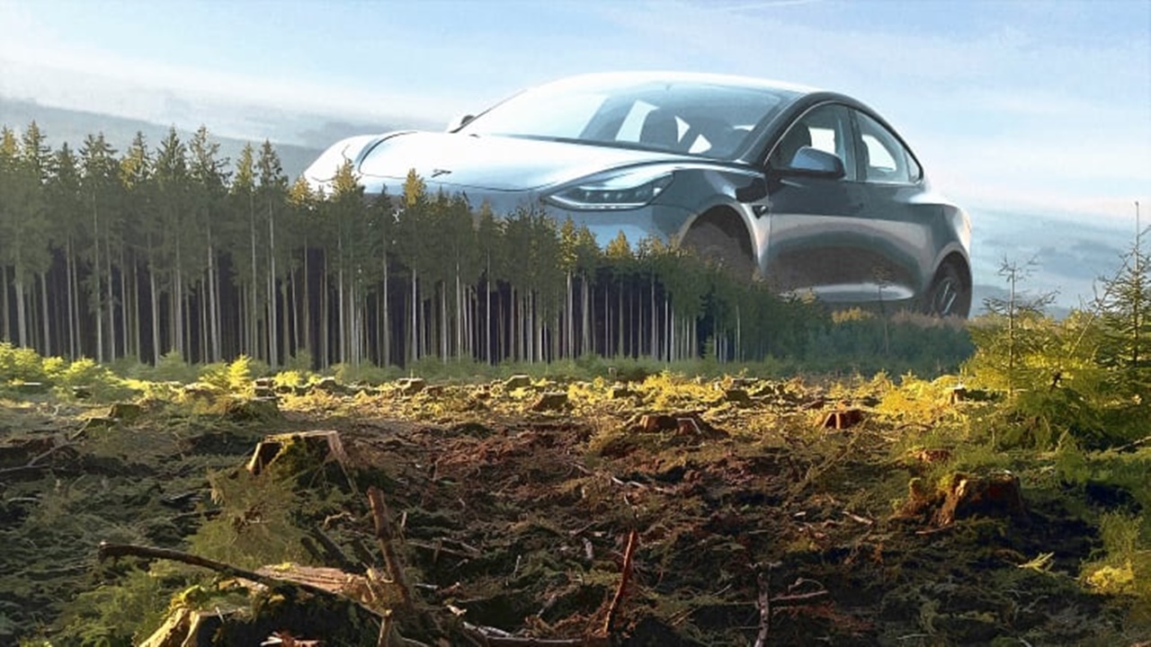 Tesla cut down 500,000 trees for Germany factory