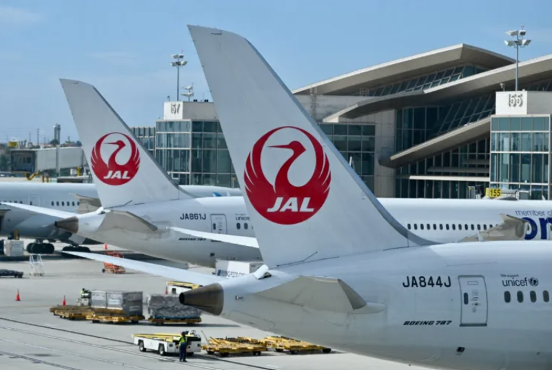 Cyberattack Grounds Japan Airlines Flights 