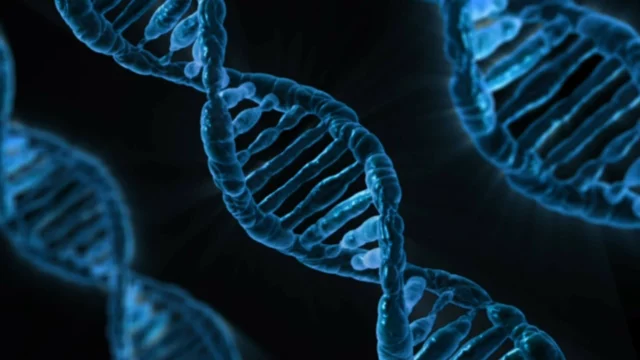 England to produce synthetic human DNA!