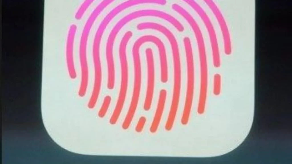 Foldable-iPhone-2