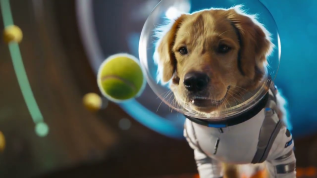 OpenAI has released the Sora app: a TikTok competitor!