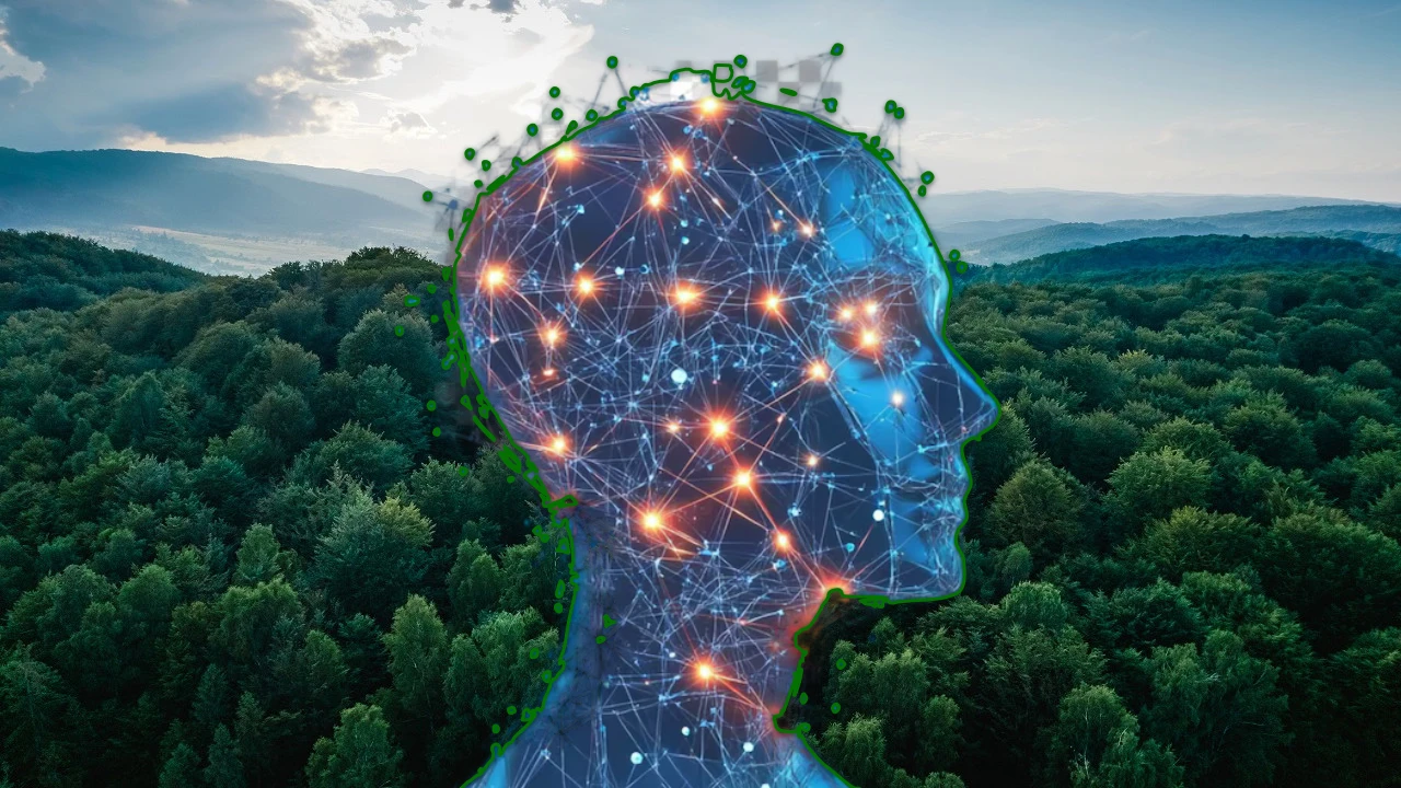 Artificial intelligence is protecting our country’s forests!