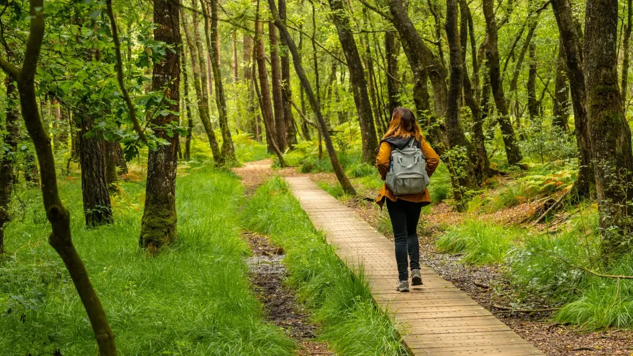 NHS Launches Movement 26.2 to Reward Daily Walking