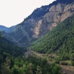 DirectX Raytracing update demo: ray-traced forest valley rendered with clustered geometry