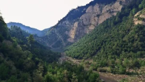 DirectX Raytracing update demo: ray-traced forest valley rendered with clustered geometry