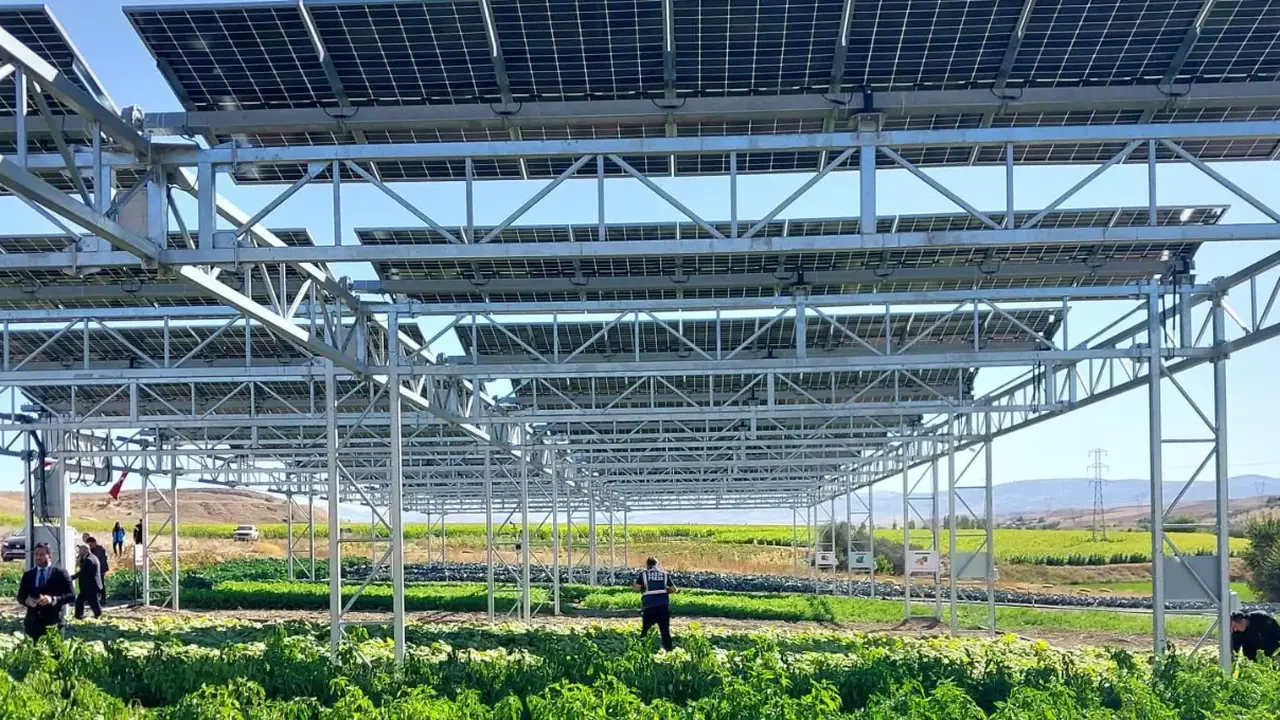 Konya’s First Agri-PV Harvest Boosts Yield and Water Efficiency