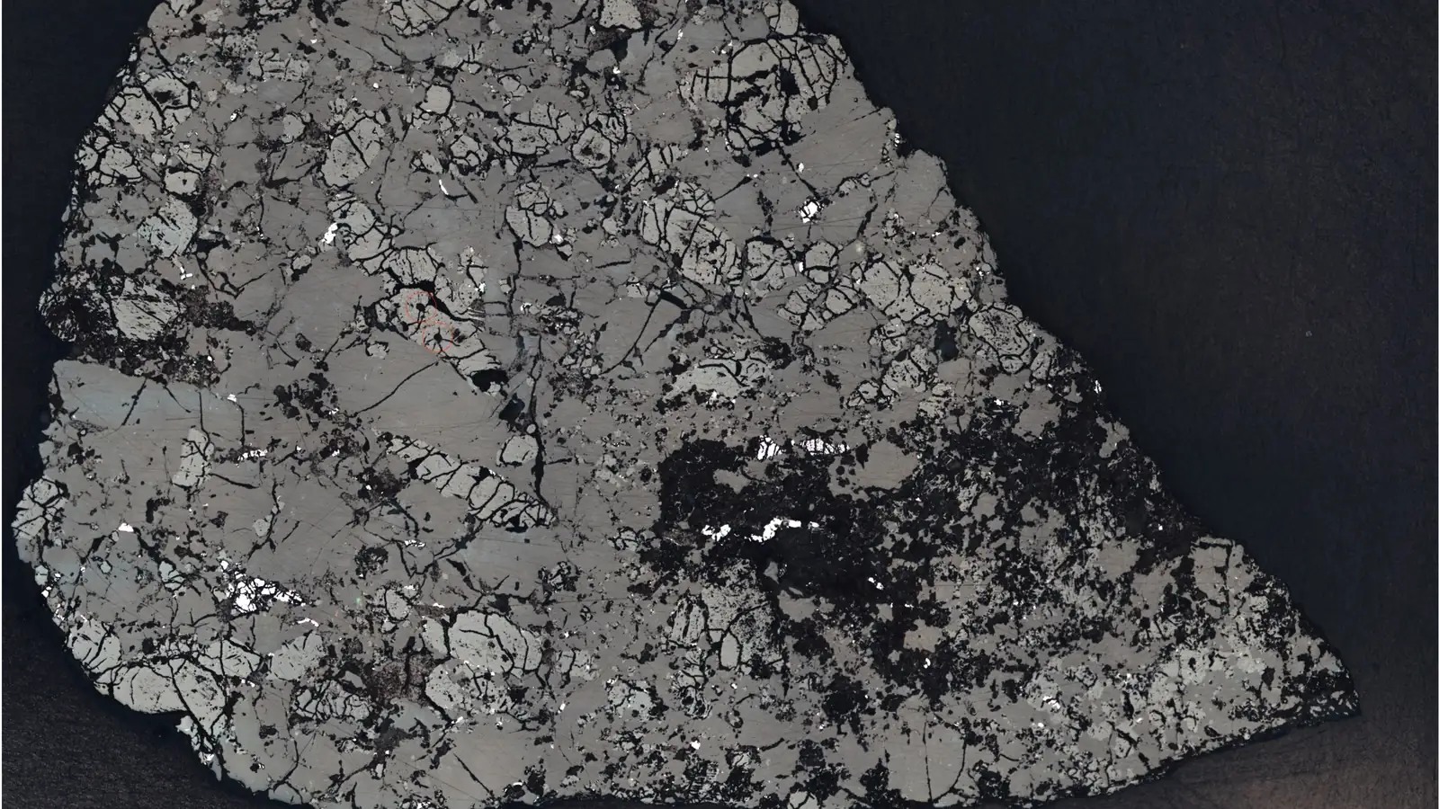 Polished slice of the Teghaza 001 Mars meteorite under a microscope